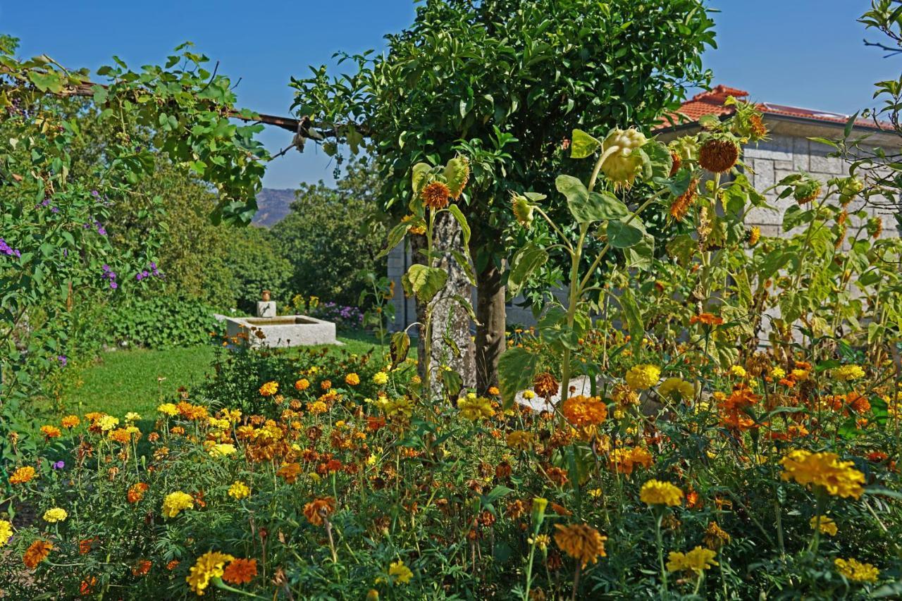 בית הארחה פאפה 	Casa Do Vale מראה חיצוני תמונה